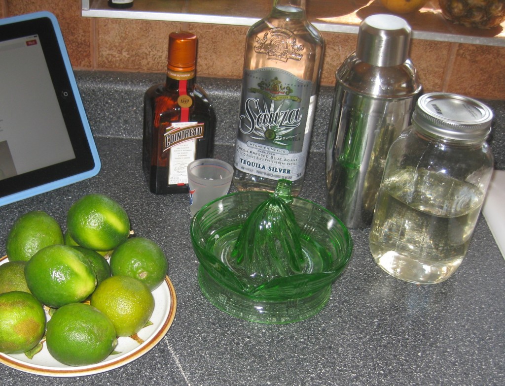All the fixins for a classic margarita!