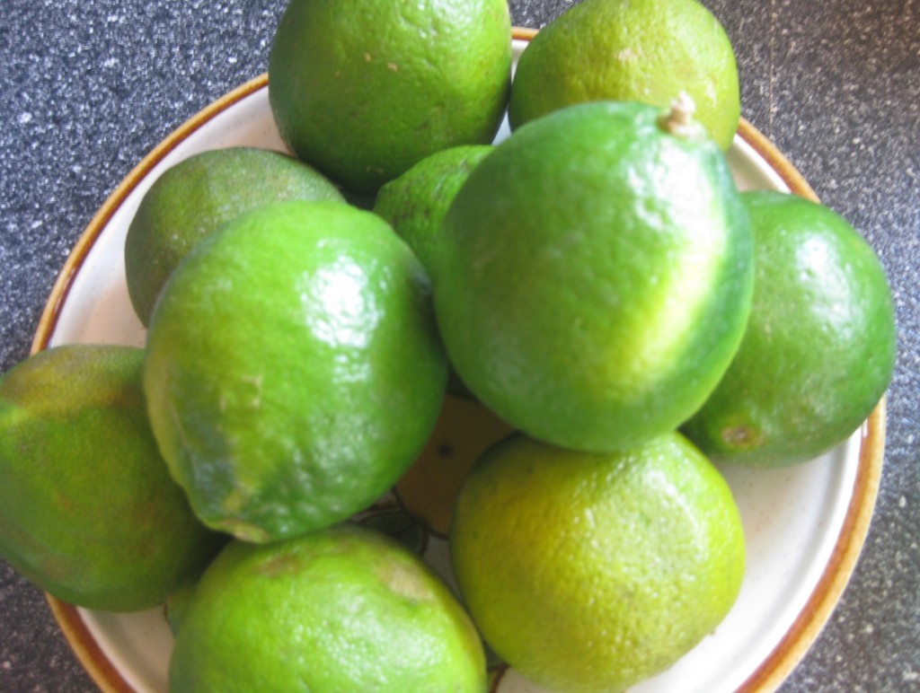 There's no such thing as having too many limes on hand.