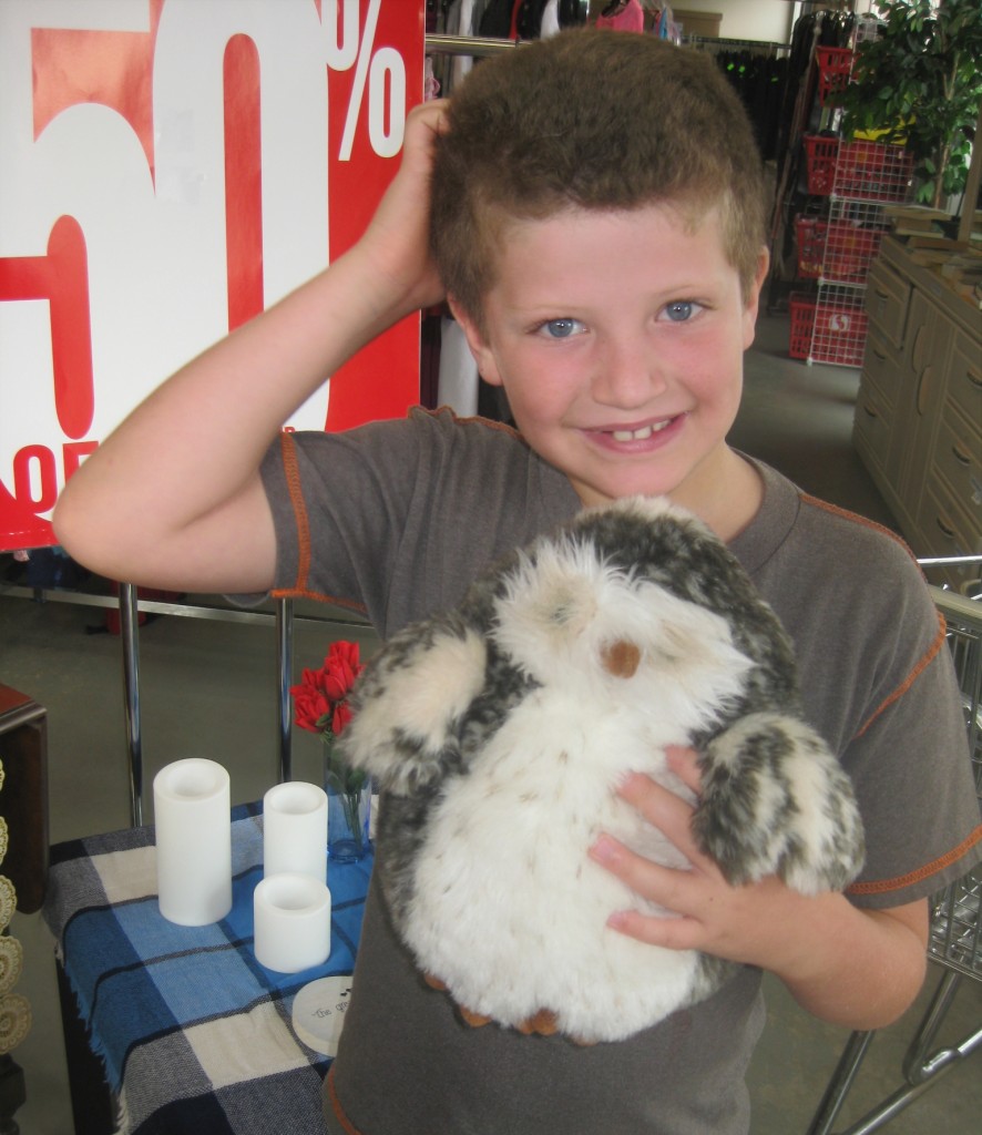 Stuffed animals for 50 cents.  The owl's feathers are as poufy as his hair!