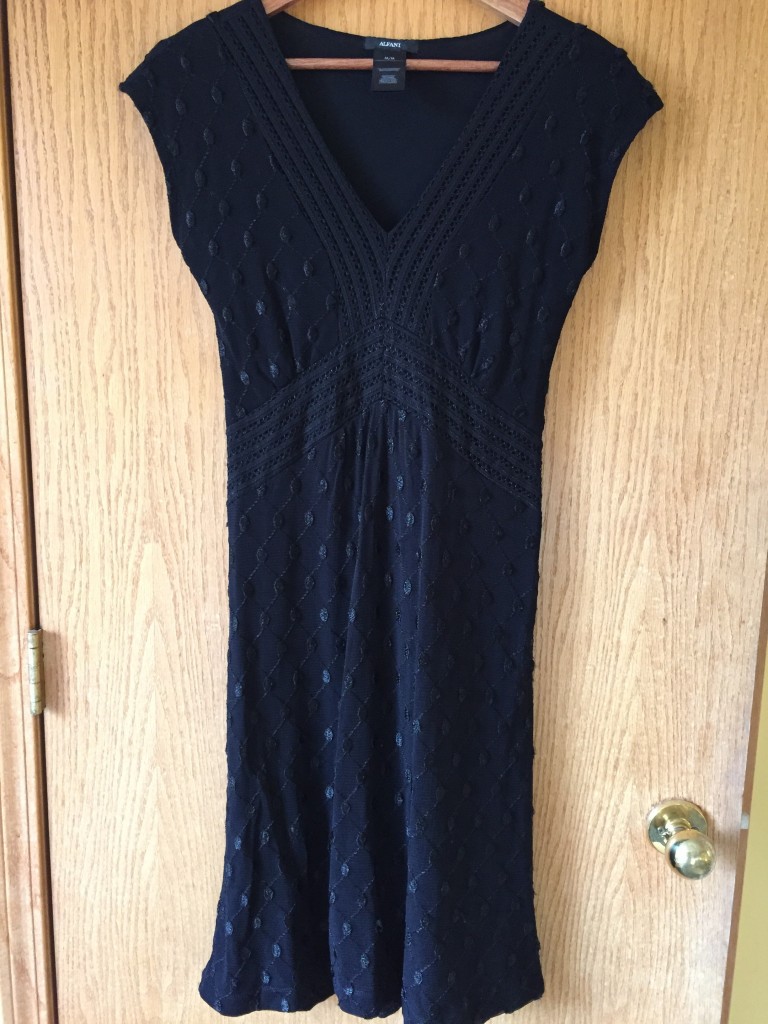 Alfani dress $9.10 worn to see Dangerous Cheese in Moose Jaw and dance with my girls!