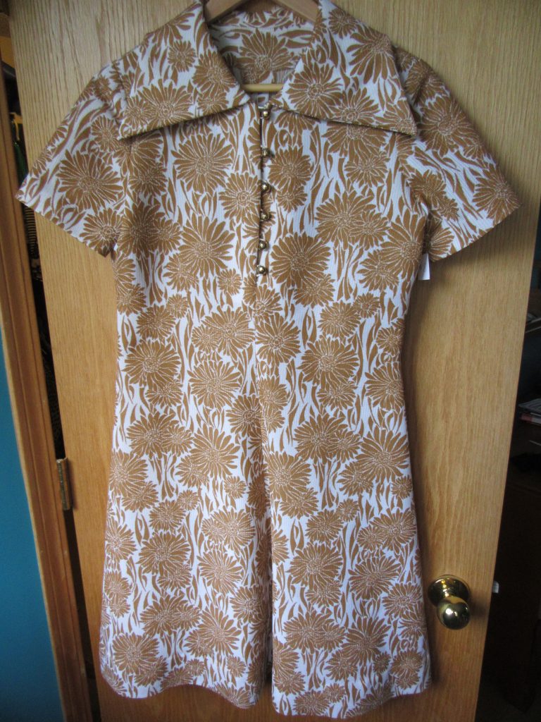 Vintage dress $8 from the thrift shop in Fort Saskatchewan. I actually thought it was $4 and by the time I realized it wasn't, it was too late to change my mind without being rude. 