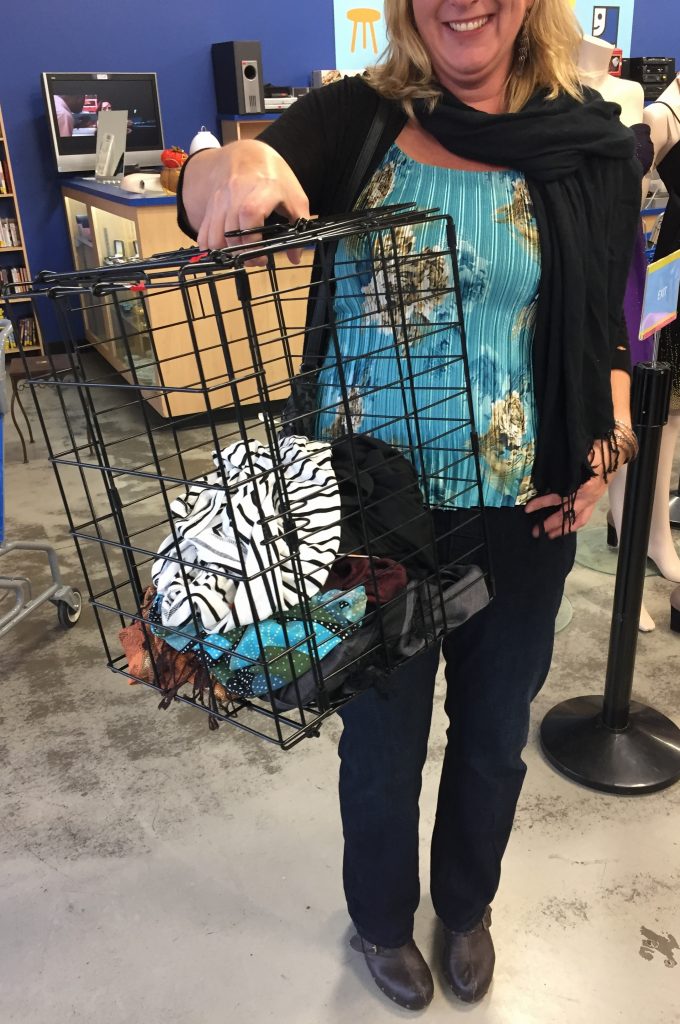 Whaddya know?!  A pet carrier makes a handy shopping bag!