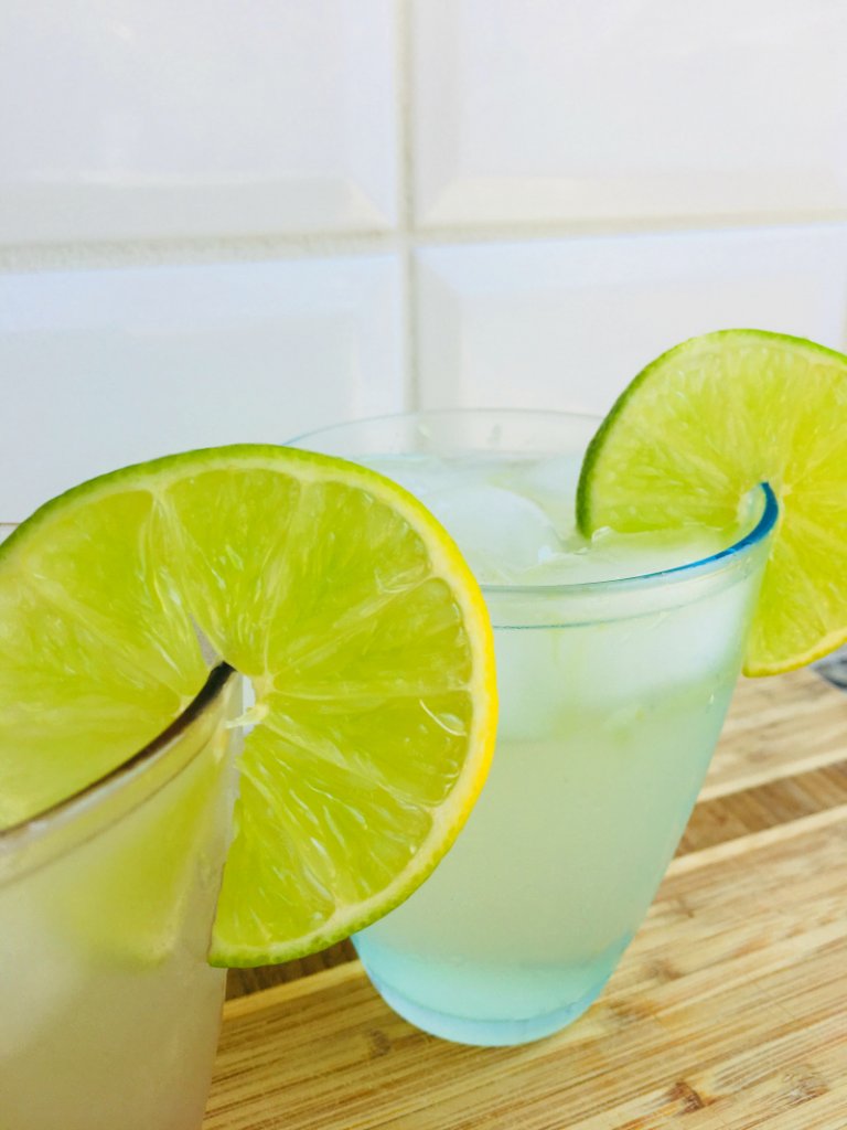 Gin and Tonic Recipe by The Spirited Thrifter